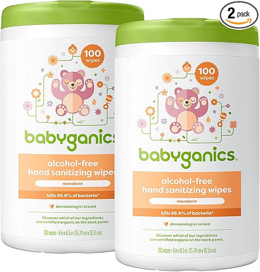 Babyganics Alcohol Free Hand Sanitizer Wipes, Mandarin, 100 Count Canister (Pack of 2), Standard